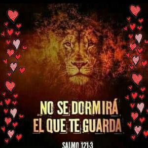 Meet your Posher, Mariela